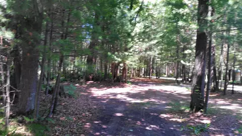10195 Beech Terrace Grayling Mi 49738, Grayling, MI 49738 photo 22