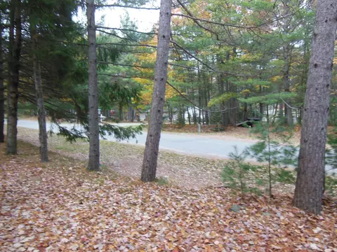 11776 Goodfellow Dr, Frederic, MI 49733 photo 5