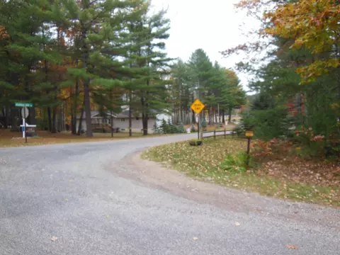 11776 Goodfellow Dr, Frederic, MI 49733 photo 6