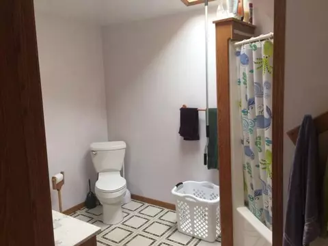 116 E Crapo Alpena Mi 49707, Alpena, MI 49707 photo 9