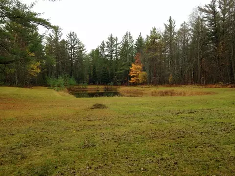 7212 7255 Dudd Rd, Vanderbilt, MI 49795 photo 28
