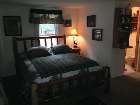 7212 7255 Dudd Rd, Vanderbilt, MI 49795 photo 20