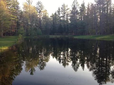 7212 7255 Dudd Rd, Vanderbilt, MI 49795 photo 5