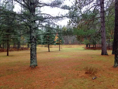 7212 7255 Dudd Rd, Vanderbilt, MI 49795 photo 26