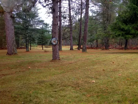 7212 7255 Dudd Rd, Vanderbilt, MI 49795 photo 27