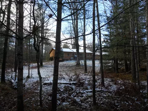 5360 N Partridge Dr, Frederic, MI 49733 photo 24