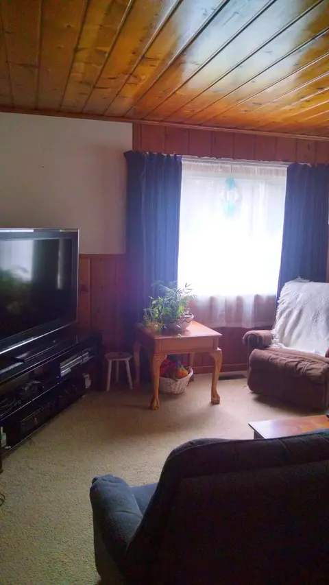 6364 Burchfield Rd, Indian River, MI 49749 photo 9