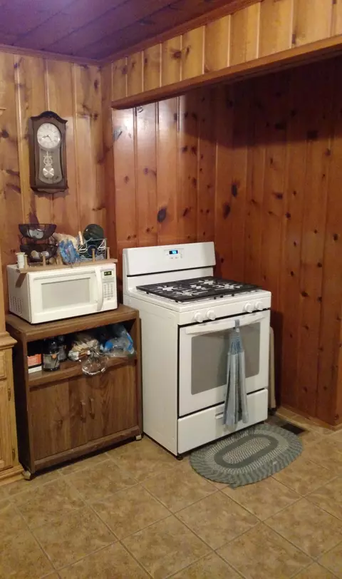 6364 Burchfield Rd, Indian River, MI 49749 photo 3