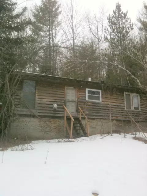 16312 Riverline Drive Wolverine Mi 49799 Dr, Wolverine, MI 49799 photo 1