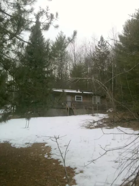 16312 Riverline Drive Wolverine Mi 49799 Dr, Wolverine, MI 49799 photo 12