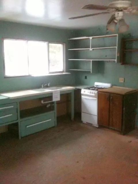 16312 Riverline Drive Wolverine Mi 49799 Dr, Wolverine, MI 49799 photo 3