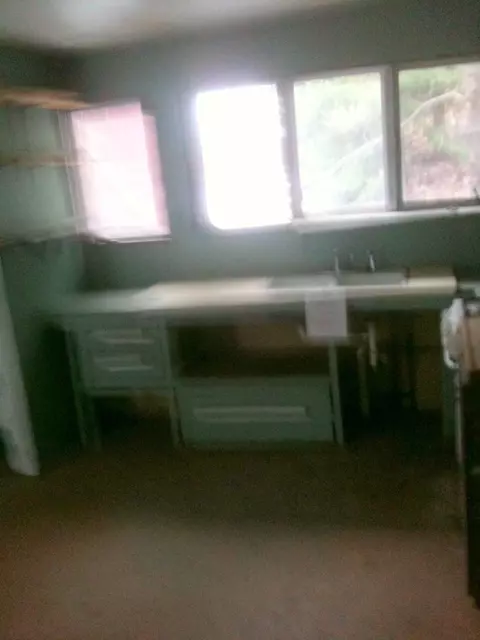 16312 Riverline Drive Wolverine Mi 49799 Dr, Wolverine, MI 49799 photo 7