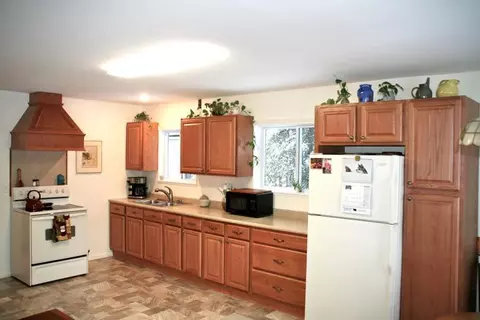 3440 High Pine Ct, Wolverine, MI 49799 photo 3