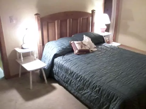 6452 Edgar St, Pellston, MI 49769 photo 8