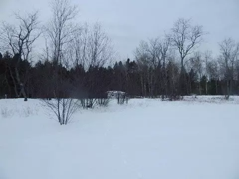 8080 Dudd Rd, Vanderbilt, MI 49795 photo 11
