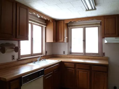 317 Vine Street Mio Mi 48647 St, Mio, MI 48647 photo 5