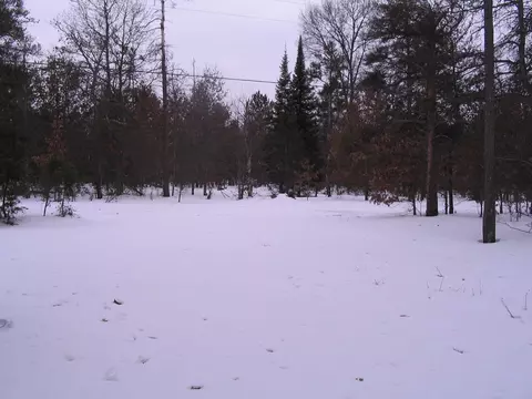 3189 E M-72, Grayling, MI 49738 photo 5