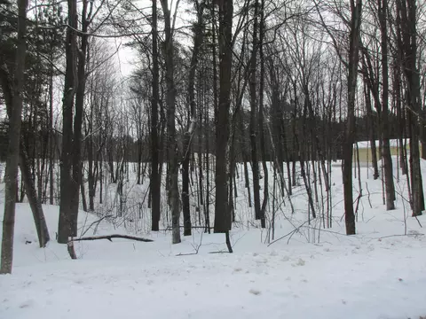 6794 Cherwinski Rd, Vanderbilt, MI 49795 photo 32