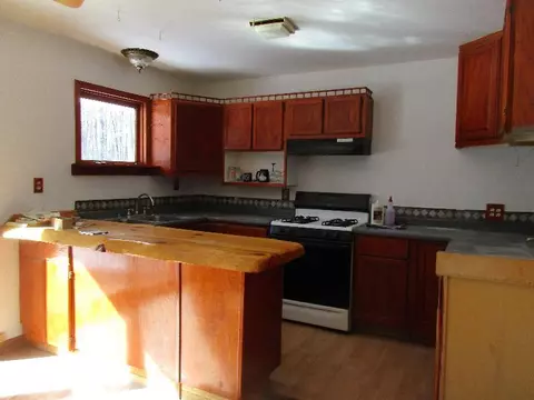 6794 Cherwinski Rd, Vanderbilt, MI 49795 photo 8