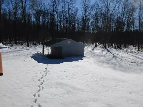 6794 Cherwinski Rd, Vanderbilt, MI 49795 photo 22