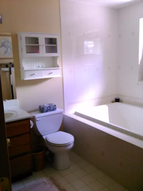 15130 Lakeview Drive Wolverine Mi 49799 Dr, Wolverine, MI 49799 photo 10