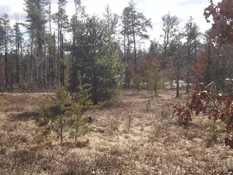 315 Mapes Rd, Mio, MI 48647 photo 22