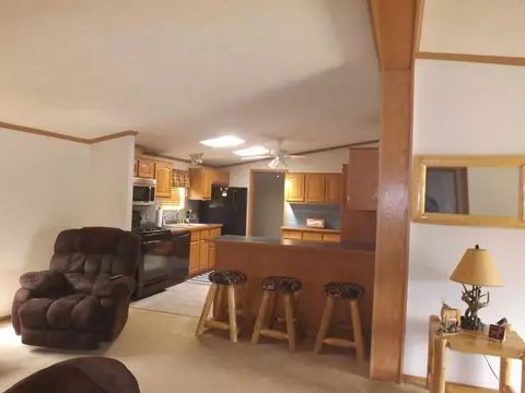 315 Mapes Rd, Mio, MI 48647 photo 17