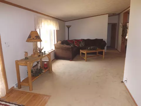315 Mapes Rd, Mio, MI 48647 photo 9