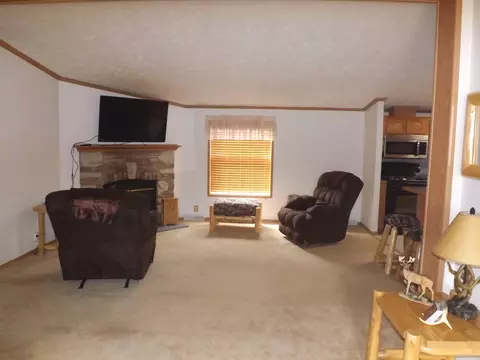 315 Mapes Rd, Mio, MI 48647 photo 13