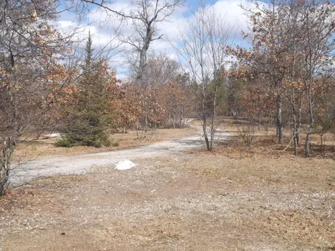 315 Mapes Rd, Mio, MI 48647 photo 21