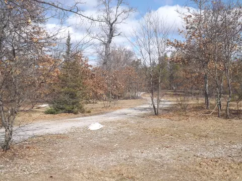 315 Mapes Rd, Mio, MI 48647 photo 3