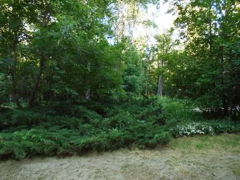 2156 Pocahontas Trl, Comins, MI 48619 photo 14
