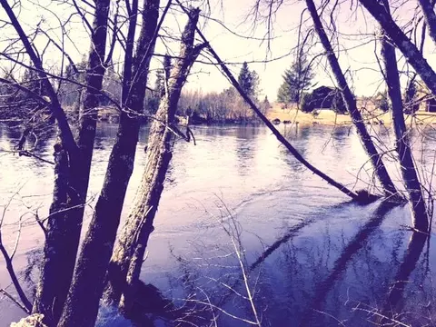 72 Barlow Trl, Luzerne, MI 48636 photo 15