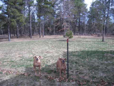 3688 Lovells Rd, Grayling, MI 49738 photo 30