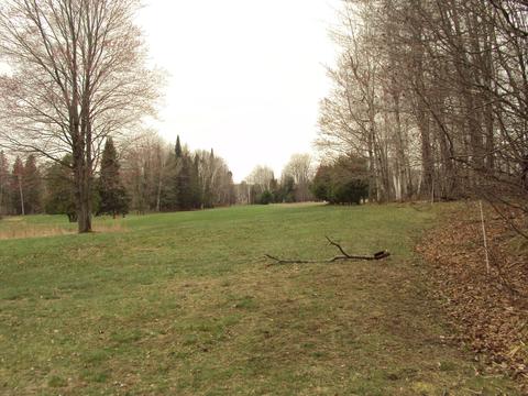 3629 Golfview Drive Lot 71 Wolverine Mi 49799 Dr #LOT 71, Wolverine, MI 49799 photo 11