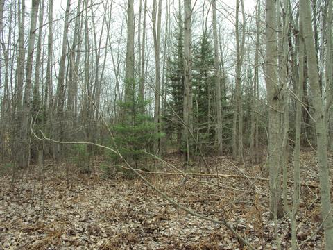 3629 Golfview Drive Lot 71 Wolverine Mi 49799 Dr #LOT 71, Wolverine, MI 49799