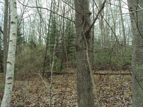 3629 Golfview Drive Lot 71 Wolverine Mi 49799 Dr #LOT 71, Wolverine, MI 49799 photo 8