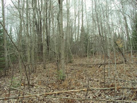 3629 Golfview Drive Lot 71 Wolverine Mi 49799 Dr #LOT 71, Wolverine, MI 49799 photo 6