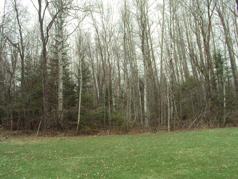 3629 Golfview Drive Lot 71 Wolverine Mi 49799 Dr #LOT 71, Wolverine, MI 49799 photo 14