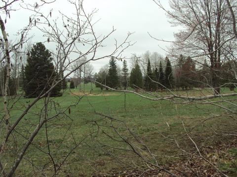 3629 Golfview Drive Lot 71 Wolverine Mi 49799 Dr #LOT 71, Wolverine, MI 49799 photo 10