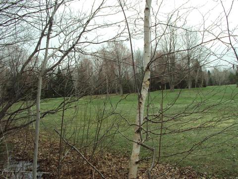 3629 Golfview Drive Lot 71 Wolverine Mi 49799 Dr #LOT 71, Wolverine, MI 49799 photo 9