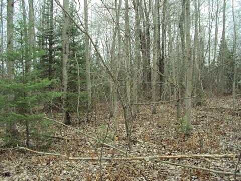 3629 Golfview Drive Lot 71 Wolverine Mi 49799 Dr #LOT 71, Wolverine, MI 49799 photo 5