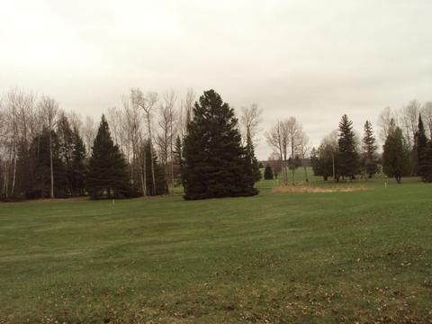 3629 Golfview Drive Lot 71 Wolverine Mi 49799 Dr #LOT 71, Wolverine, MI 49799 photo 12