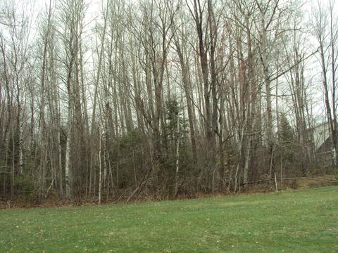 3629 Golfview Drive Lot 71 Wolverine Mi 49799 Dr #LOT 71, Wolverine, MI 49799 photo 13
