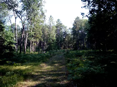 3825 Chase Bridge Road Grayling Mi 49738 Rd, Grayling, MI 49738 photo 8