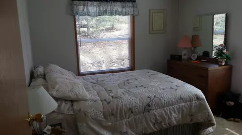 15544 Lakeview Dr, Wolverine, MI 49799 photo 11