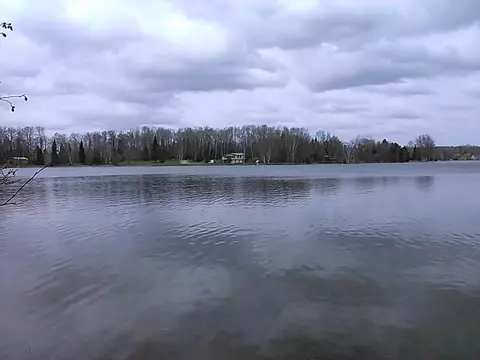 15544 Lakeview Dr, Wolverine, MI 49799 photo 1