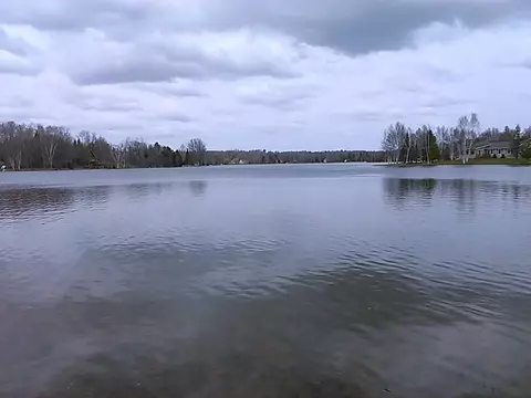 15544 Lakeview Dr, Wolverine, MI 49799 photo 18