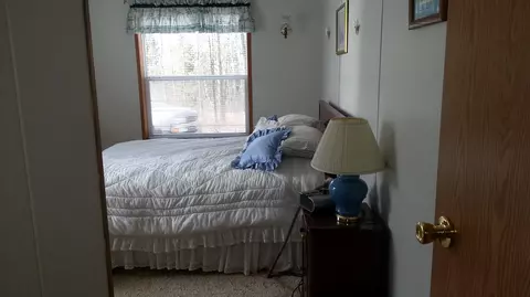 15544 Lakeview Dr, Wolverine, MI 49799 photo 12