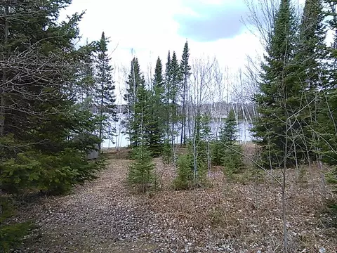 15544 Lakeview Dr, Wolverine, MI 49799 photo 17